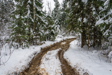 Similar image 16165725