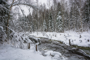 Similar image 16165854