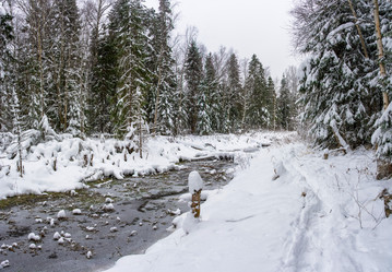 Similar image 16165244