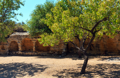 Similar image 16221634