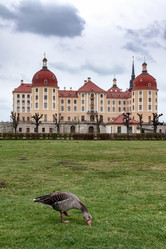 Similar image 15919096