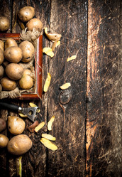 Similar image 15906247