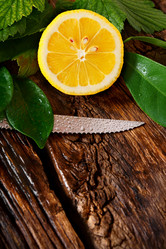 Similar image 15906144