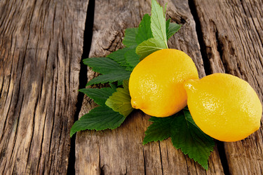 Similar image 15906260