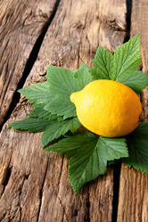 Similar image 15906280