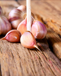 Similar image 15904592