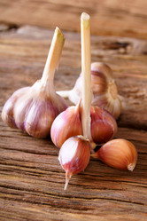 Similar image 15904527