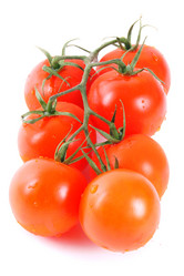 Similar image 15904350