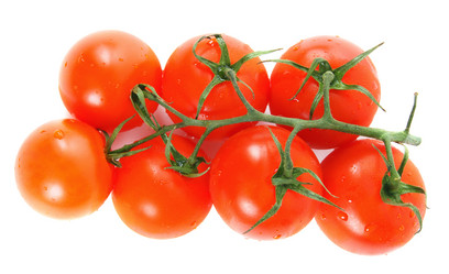 Similar image 15904327