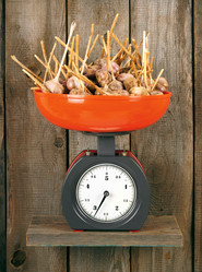 Similar image 15905847