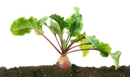 Similar image 15905212