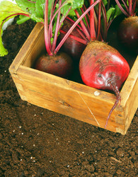 Similar image 15905353