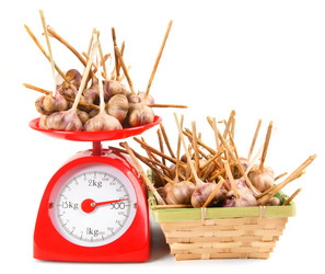 Similar image 15905726