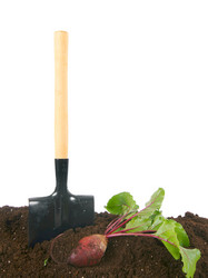 Similar image 15906209