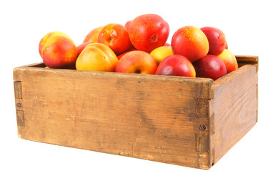 Similar image 15906213