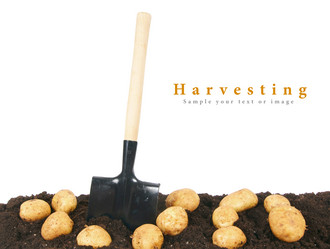 Similar image 15906378