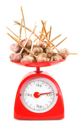 Similar image 15906533