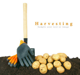 Similar image 15906555