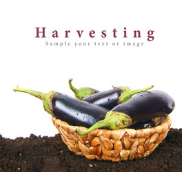 Similar image 15906570