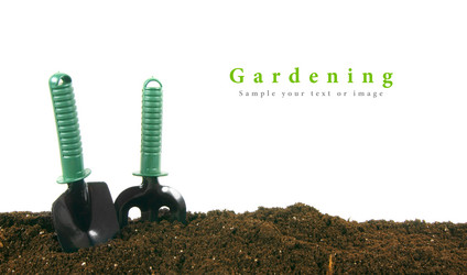 Similar image 15906605