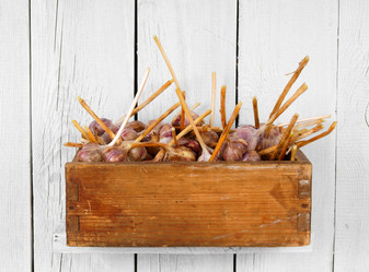 Similar image 15906684