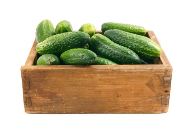 Similar image 15906368