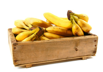 Similar image 15906380