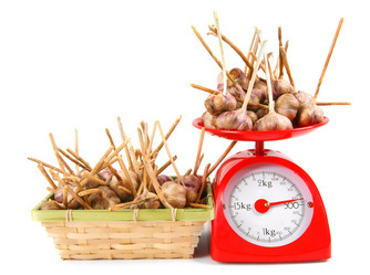 Similar image 15904454