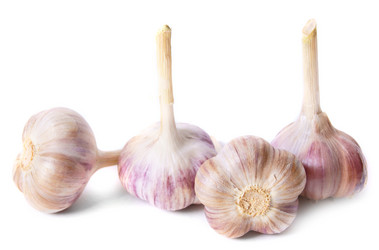 Similar image 15904813