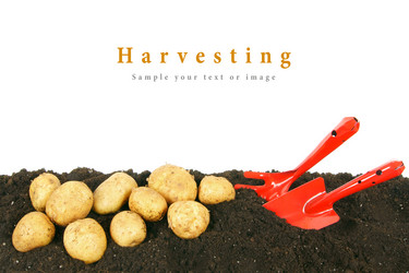 Similar image 15905715