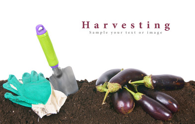 Similar image 15905752