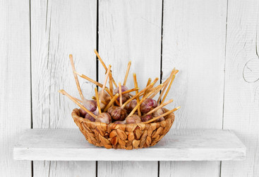 Similar image 15906012