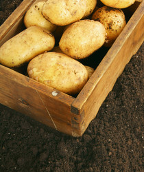 Similar image 15906128