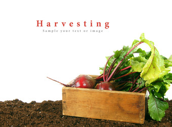 Similar image 15906233