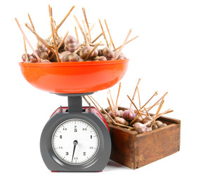 Similar image 15906249