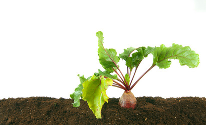 Similar image 15906261