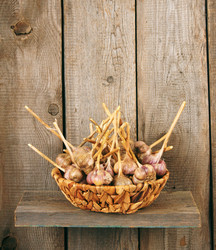 Similar image 15906329