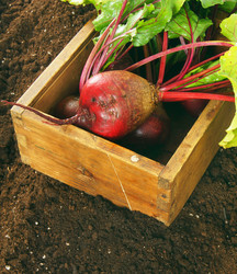 Similar image 15906379