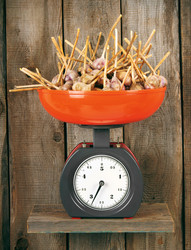 Similar image 15906553