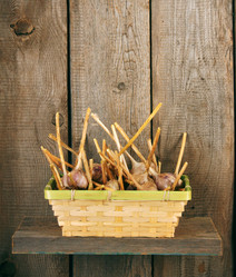 Similar image 15906581