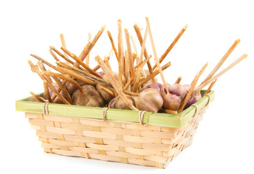 Similar image 15906586