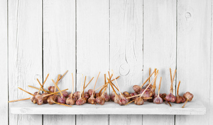 Similar image 15906683