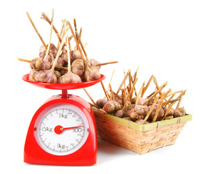 Similar image 15906656