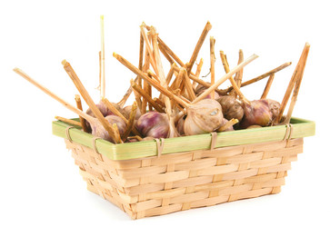 Similar image 15906702