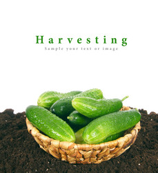 Similar image 15904252