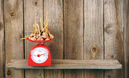 Similar image 15905414