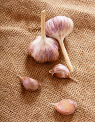 Similar image 15905535