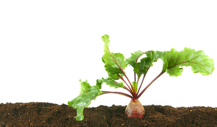 Similar image 15906181