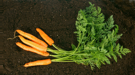 Similar image 15906303