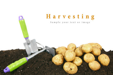 Similar image 15906321